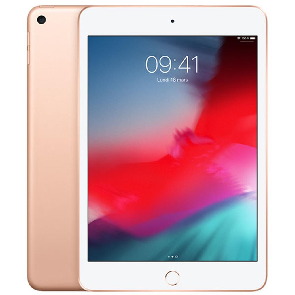 iPad mini 5 (2019) - Wi-Fi - Reconditionné
