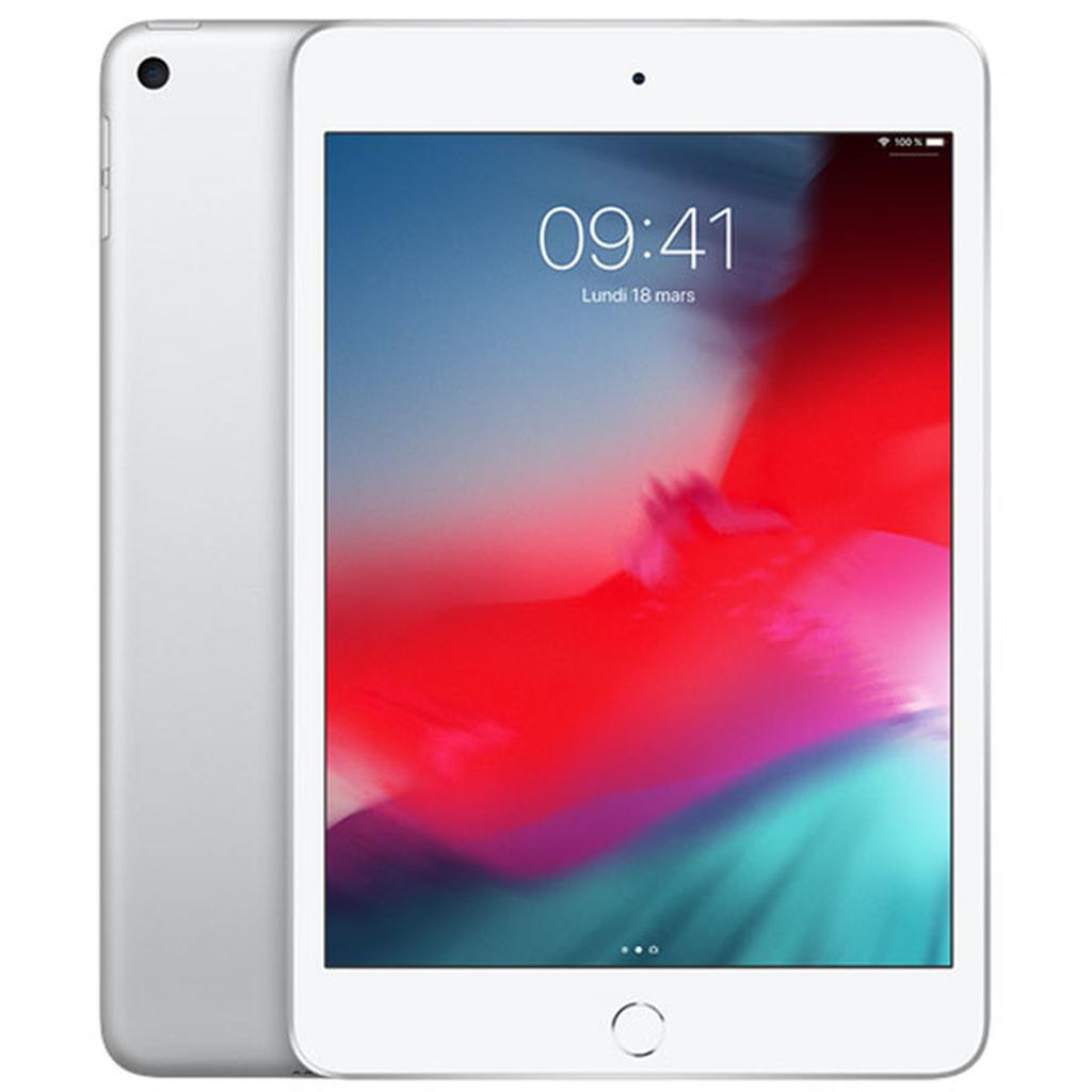 iPad mini 5 (2019) - Wi-Fi - Reconditionné